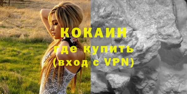 дмт Вяземский