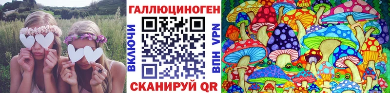 Купить закладки  Заполярный  Псилоцибиновые грибы мицелий 
