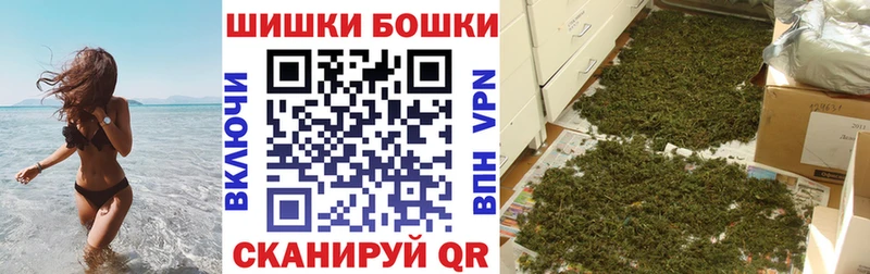 Бошки Шишки планчик  Купить  Заполярный 